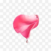 ��ɫ����-������