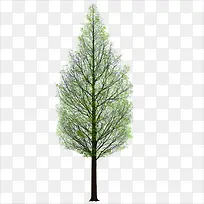 ����-������