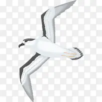 ���е���-������