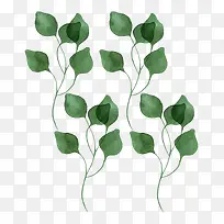 ´º¼¾ËزÄÊ÷Ò¶-¿ÕÈôÍø ´º¼¾ËزÄÊ÷Ò¶-¿ÕÈôÍø