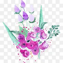 手绘紫色百合-空若网 手绘紫色百合-空若网