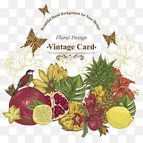 手绘水果合集-空若网 手绘水果合集-空若网