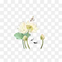 手绘荷花-空若网 手绘荷花-空若网