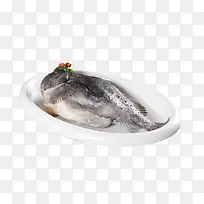 实物 海参斑 海鲜-空若网 实物 海参斑 海鲜-空若网