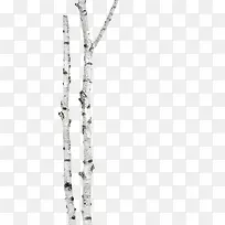 �ֻ���֦-������