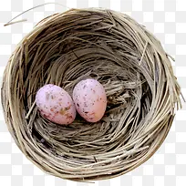 树枝鸟窝-空若网 树枝鸟窝-空若网