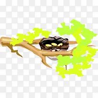 树枝上的鸟窝-空若网 树枝上的鸟窝-空若网