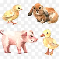 4��ˮ�ʻ�ũ������ʸ���ز�-������