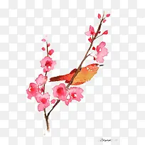 �ֻ��һ�-������