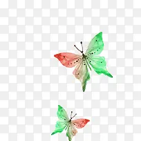 手绘蝴蝶-空若网 手绘蝴蝶-空若网