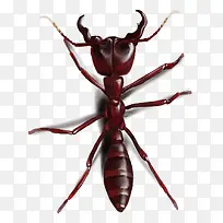 ʸ������-������