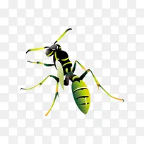 蚂蚁素材-空若网 蚂蚁素材-空若网