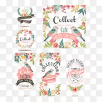 ��ˮ�ʻ��������뺯ˮ�ʻ�-������