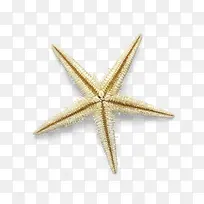 ʵ�ﺣ�����ﺣ��-������