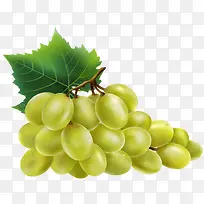 卡通手绘水果装饰海报设计葡萄-空若网 卡通手绘水果装饰海报设计葡萄-空若网