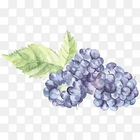 出水果-空若网 出水果-空若网