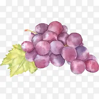 水果葡萄-空若网 水果葡萄-空若网