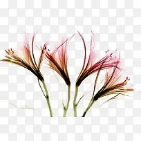 ˮī������-������