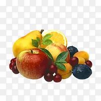 各类 水果-空若网 各类 水果-空若网