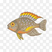 ʸÁ¿×ؽðÉ«¹ÛÉÍÓãËØ²Ä-¿ÕÈôÍø ʸÁ¿×ؽðÉ«¹ÛÉÍÓãËØ²Ä-¿ÕÈôÍø