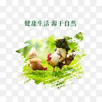 母鸡海报-空若网 母鸡海报-空若网