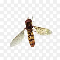 ÃÛ·ä²ÉÃÛ-¿ÕÈôÍø ÃÛ·ä²ÉÃÛ-¿ÕÈôÍø