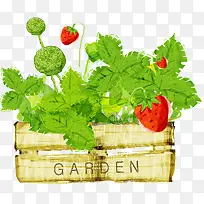 手绘草莓盆栽时尚海报-空若网 手绘草莓盆栽时尚海报-空若网