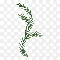 绿色树枝树干叶子-空若网 绿色树枝树干叶子-空若网