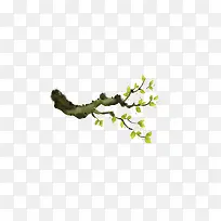 ��ͨ��֦ͼ-������