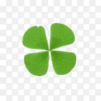 ÂÌÉ«ËÄÒ¶²Ý-¿ÕÈôÍø ÂÌÉ«ËÄÒ¶²Ý-¿ÕÈôÍø