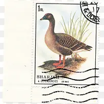 ºÚÌì¶ìÓÊÆ±-¿ÕÈôÍø ºÚÌì¶ìÓÊÆ±-¿ÕÈôÍø