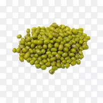 �л�ʳƷ�̶�����-������