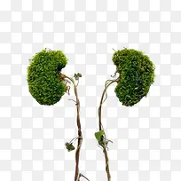 绿色树枝图案-空若网 绿色树枝图案-空若网