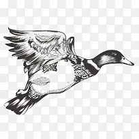 手绘动物-空若网 手绘动物-空若网