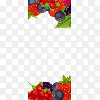 ˮ����˹��ˮ����ݮ��ݮ��ͼ-��ݮ��Խݮ��ݮ��Ե-������