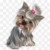 快乐星期一早安-可爱的小狗-空若网 快乐星期一早安-可爱的小狗-空若网