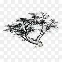 黑白手绘古树-空若网 黑白手绘古树-空若网