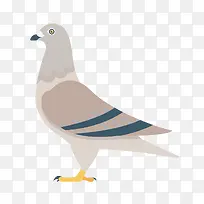 卡通手绘鸽子设计元素-空若网 卡通手绘鸽子设计元素-空若网