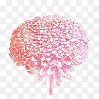 创意菊花设计素材-空若网 创意菊花设计素材-空若网