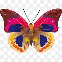 ��ɫ������ʸ���ز�-������