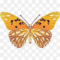 彩色花蝴蝶矢量素材-空若网 彩色花蝴蝶矢量素材-空若网