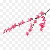 桃花树枝-空若网 桃花树枝-空若网