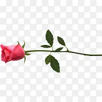 ��Ʒʵ��-������