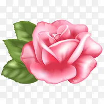 ��ɫ�ֻ�õ����Ҷ-������