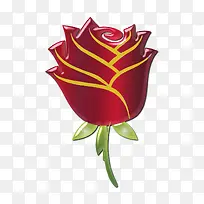 金边玫瑰-空若网 金边玫瑰-空若网