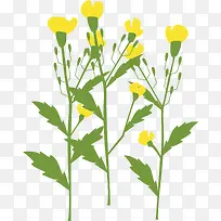 黄花png矢量素材-空若网 黄花png矢量素材-空若网