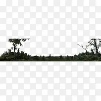 ÃλÃÒ°ÍâÖ²ÎïÂÌÊ÷-¿ÕÈôÍø ÃλÃÒ°ÍâÖ²ÎïÂÌÊ÷-¿ÕÈôÍø