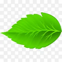 绿树树叶卡通唯美-空若网 绿树树叶卡通唯美-空若网
