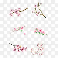 春天里花卉图组下载-空若网 春天里花卉图组下载-空若网