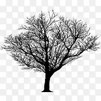 ��������-������